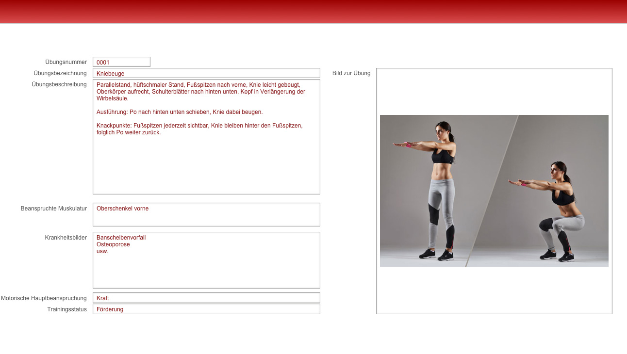 DB-Bsp__Kniebeuge.jpg